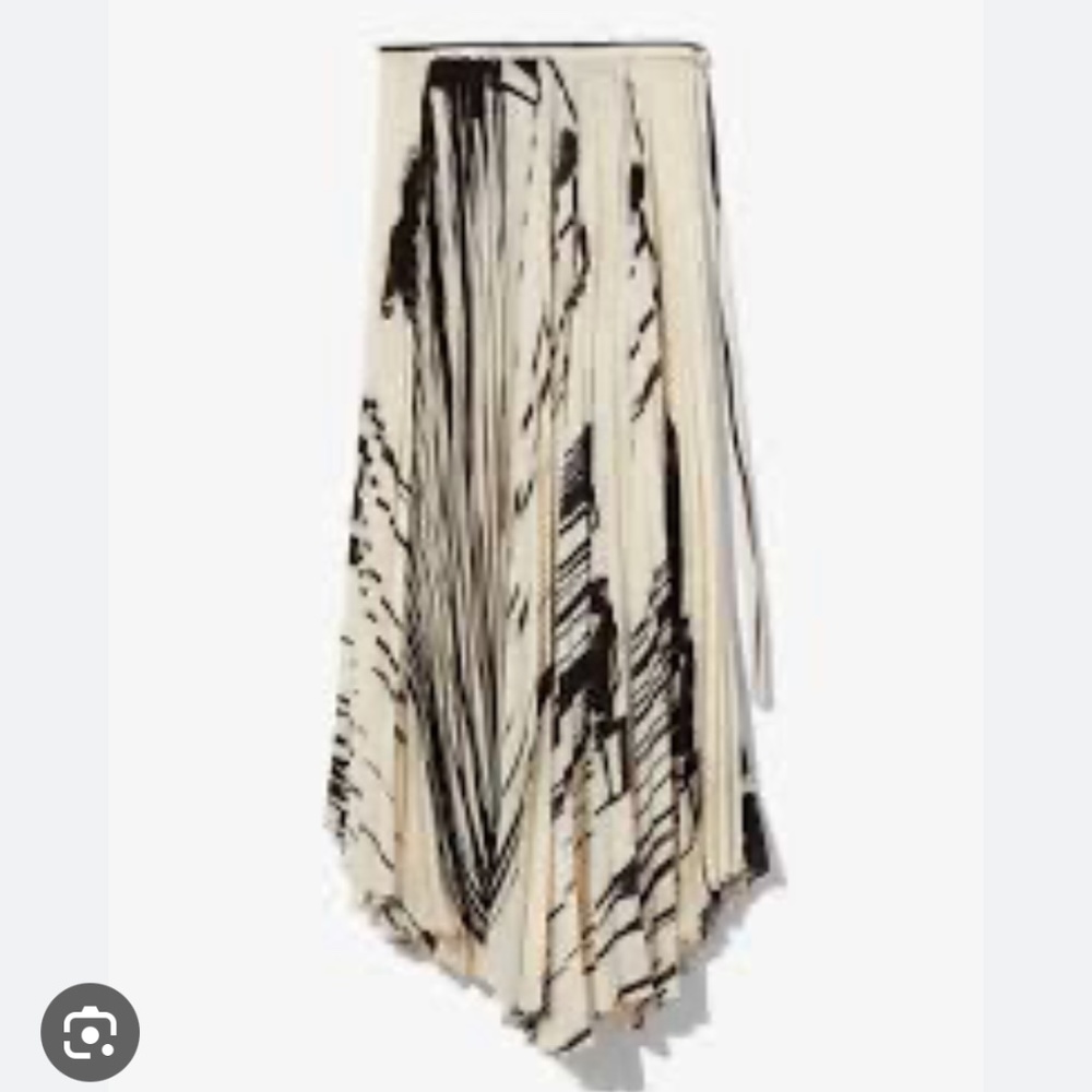 Proenza Schouler Brushstroke Skirt